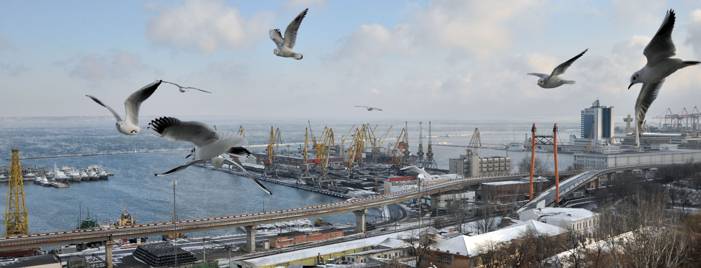 Вид на зимний порт. © Студия фото, видео, красоты Озартстудио, 099 1171014, 063 6719282, 097 5775626